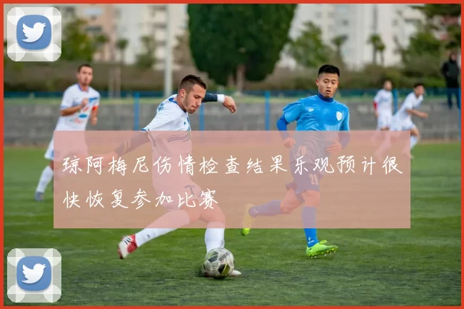 琼阿梅尼伤情检查结果乐观预计很快恢复参加比赛