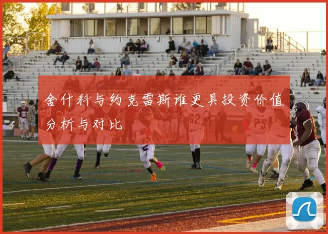 舍什科与约克雷斯谁更具投资价值分析与对比